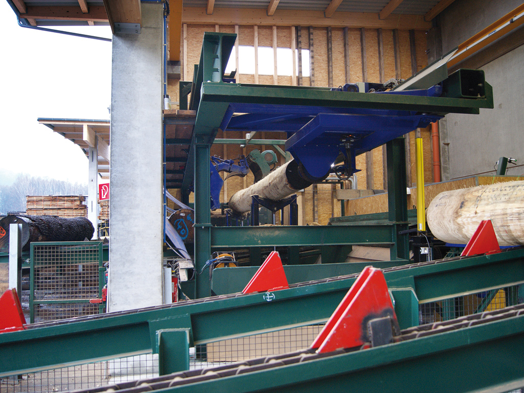 Portal craneCutting head & debarking machine